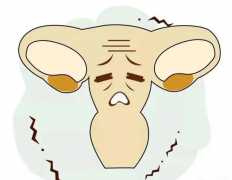 子宫损伤对试管成功率有潜在影响吗?关键因素是哪些?