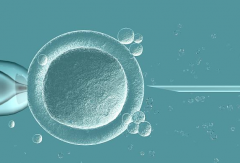 试管促排黄金期：加速卵泡优质成长的秘诀与关键注意事项