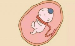 50岁借卵试管费用包括哪些？大概需要多少钱？