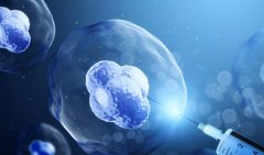 三代试管供卵技术介绍，上海三代试管供卵生'男'孩需要多少钱？