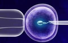 试管成功率低的原因，提高试管成功率的方法