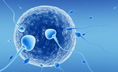 什么是试管婴儿技术？精子正常的男性使用二代试管婴儿技术介绍