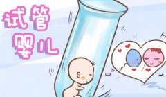 52岁的妇女借卵做试管需要注意这些事项