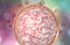 全球试管技术排名大揭秘：附带热门国家一览！