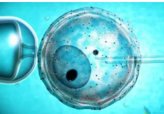 六项激素低可以做试管吗？附影响成功率的原因介绍