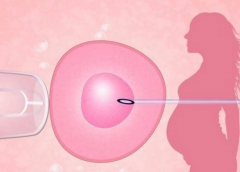 北京试管医院成功率排行榜：揭秘高成功率医院