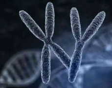 香港试管费用详解：基本费用与附加服务一览