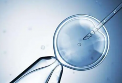 俄罗斯试管之旅：必须牢记的注意事项与潜在风险