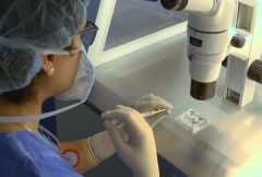 冷冻精子试管成功率揭秘：真实数据与影响因素