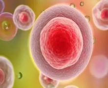 试管费用揭秘及价格昂贵原因分析