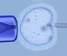 做试管需要办理一系列手续，并做好充分的准备工作及注意事项