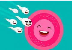 试管是否需要结婚证及国家政策规定与法律责任