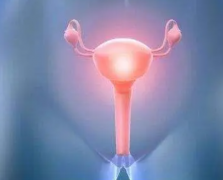 试管申请指南：所需证明材料、相关手续及注意事项一览