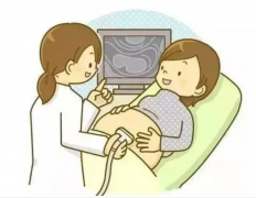 泰国试管之旅：费用、成功率全面剖析及注意事项必读