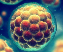 试管之旅：促排卵的开始时间及影响因素解析