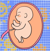 试管前是否需要做宫腔镜检查？原因揭秘  试管