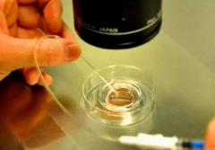 试管全周期详解，从准备到完成需要多久？