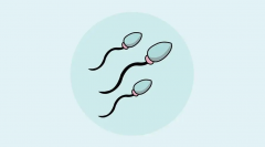 试管过程中的睾丸取精操作，了解其对男性健康的影响