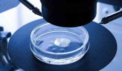 提高试管成功率的方法，试管有哪些风险？