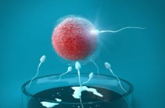 试管成活率高的多个方面分析，选择试管机构时应考到医院实力