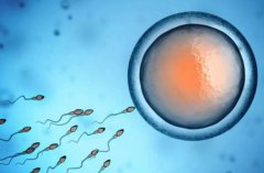 收藏！判断试管效果，可以从这些方面考虑