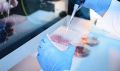 泰国和日本试管技术大PK，看看哪个更适合你！