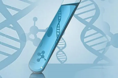 如何提高试管成功率？详细方法解读