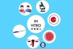 科普试管全部流程，全程用时约6个月