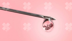 柬埔寨试管优势多，附试管注意事项