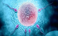 试管移植后药物指南：这些药物帮你安稳度过移植期！