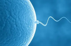 试管失败后月经来潮，排卵功能是否受影响？