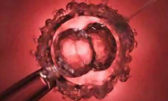 试管合法吗？医院资质揭秘，一文带你了解