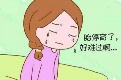 正常怀孕胎停概率究竟多大？8周后安全性大增