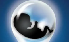 从启动到收获：试管成功周期的详尽时间表