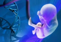 试管一次成功的关键因素，你必须知道！