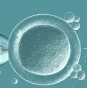 一代试管技术全解析：操作流程与成功率探秘