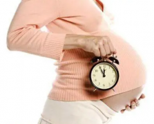 第二代试管技术：发展、应用与优势探讨