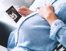 囊胚中的性别奥秘：两种判断方式揭秘男女之别