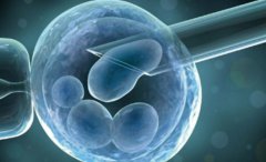 借精子做试管的原因分析，试管如何进行借精子的过程？