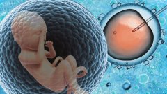 试管的基本费用，影响试管价格的因素