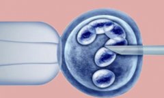 影响供精试管成功率的原因分析，如何提高供精试管的成功率？