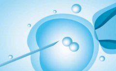 一文带你从多个方面来探讨供卵试管的风险