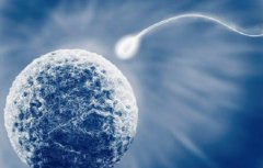 第三代试管在全球范围内的应用情况及优劣势分析