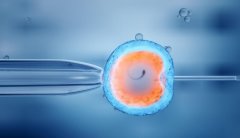 影响格鲁吉亚试管成功率高的原因有哪些？