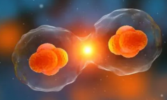 揭秘一代试管价格：多少钱能拥有宝宝？