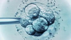 HRC试管：为何成为不孕不育夫妇的首选？