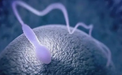 试管双胞胎与自然受孕双胞胎有何异同？