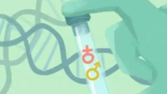 武汉单身女性是否有权通过试管技术生育？