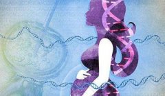 河南离婚单身女性可以做试管的医院介绍及注意事项