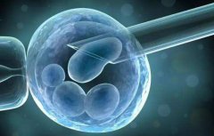 浙江正规的供卵试管医院详细介绍及科学研究了解